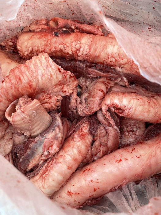 Мясо для собак гортань