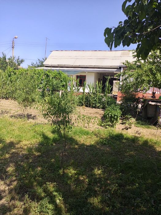 Ҳовли сотилади 6 сотих тўғри тўрт бурчак 5 та хона ремонти ўрта кириб