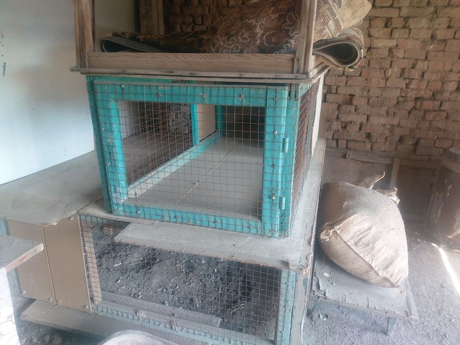 Брудер сатылады...