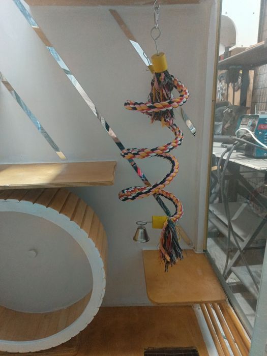 Витрина для Шиншиллы и белка