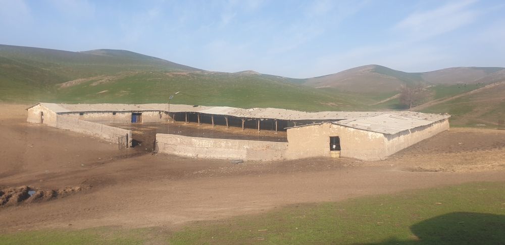 Куй кура сотилади 15 сотих куй бокишга мулжалланган