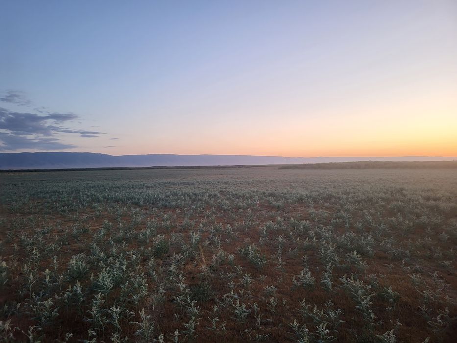 Фазендаға срочно срочно