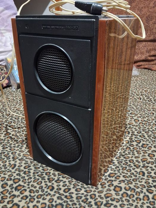 Акустическая система