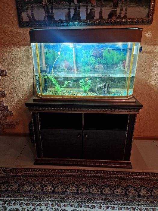 Аквариум 200л  с тумбой и рыбками