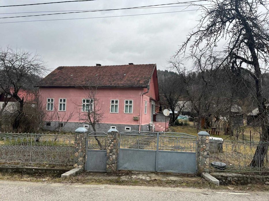 Casa Avram Iancu