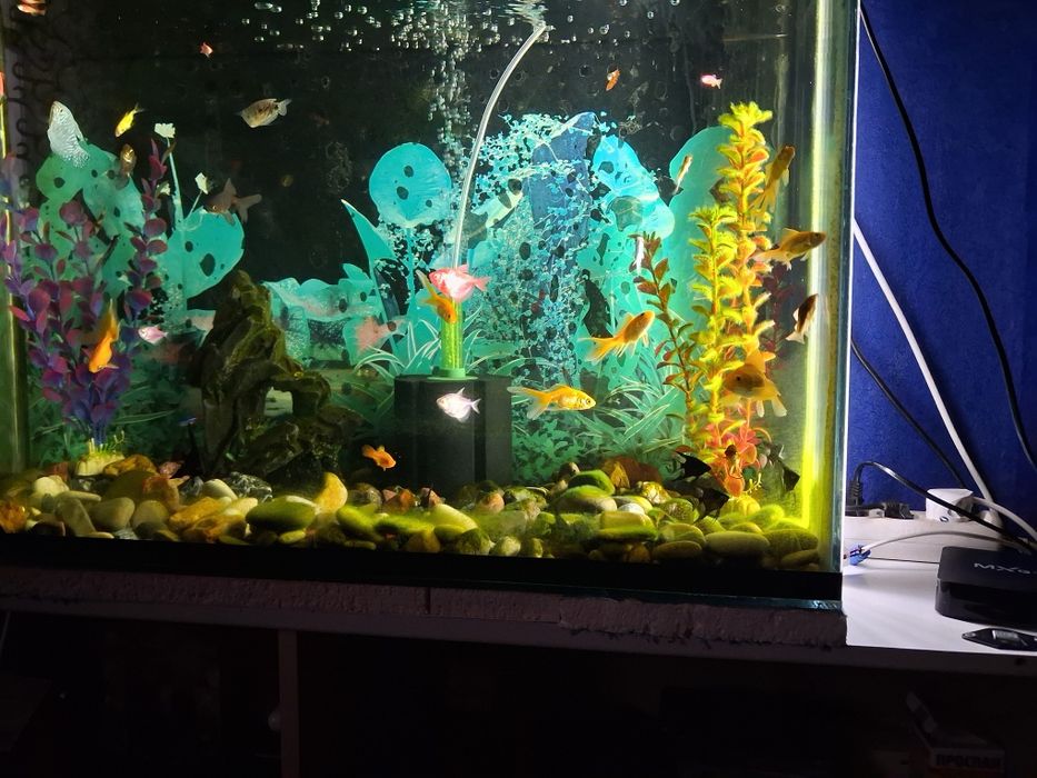 Продам большом оквариум на 120л