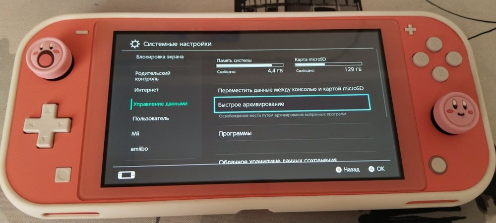 Nintendo switch lite