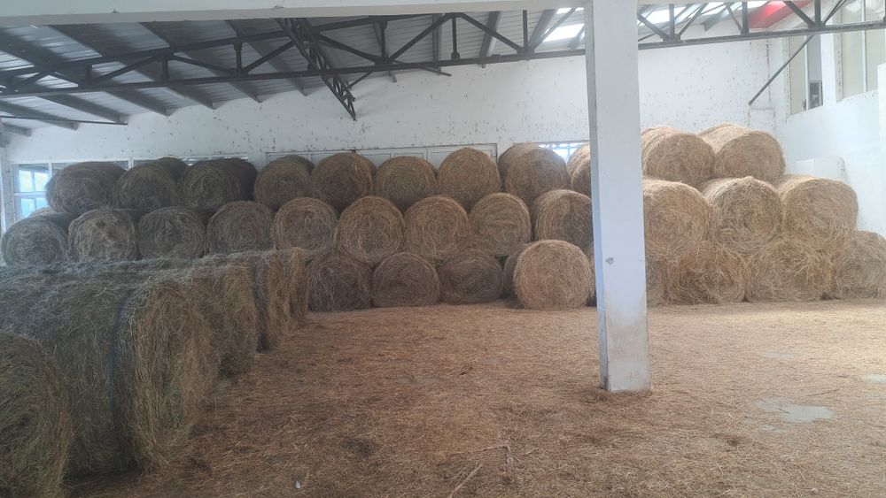 Vând baloți de fân natural