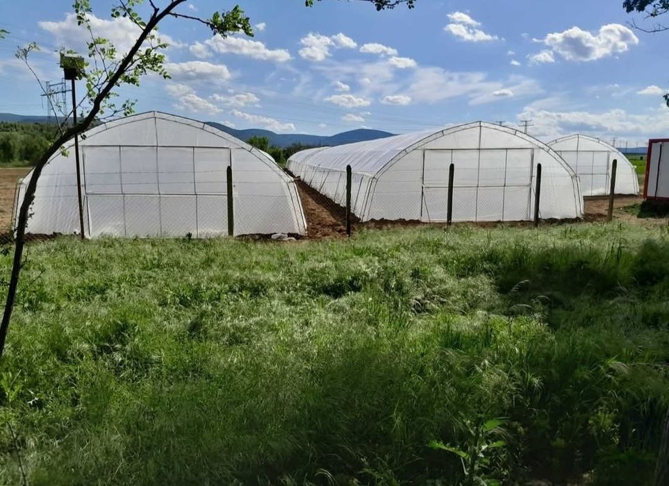 Оранжерийно стопанство