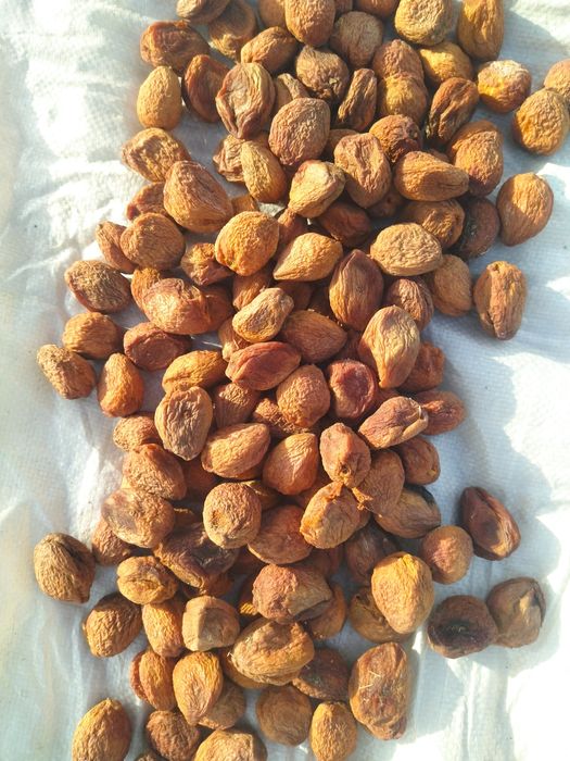 Вкусный урюк Узбекская