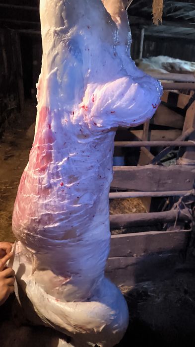 Продам мясо баранины