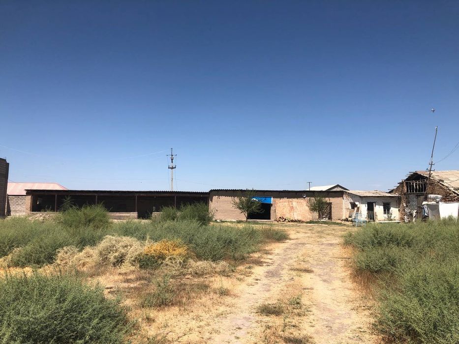 Tayyor ferma sotiladi