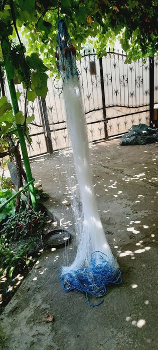 Plase de pescuit profesionale