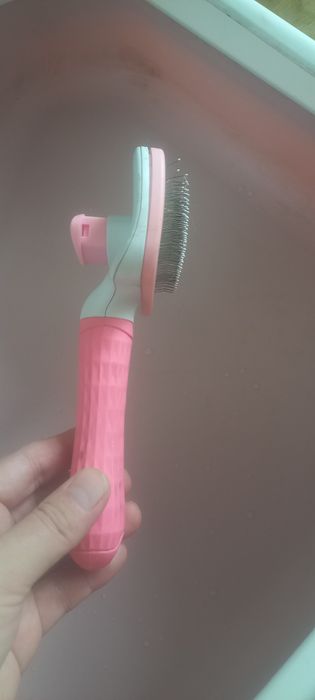 Лоток для кошка и расческу отдам