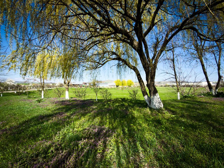 SE VINDE SAU SE INCHIRIAZA teren cu constructii Ludus