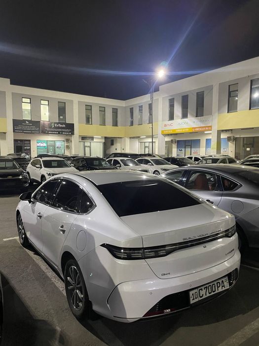 BYD Chazor 55 talig lukli