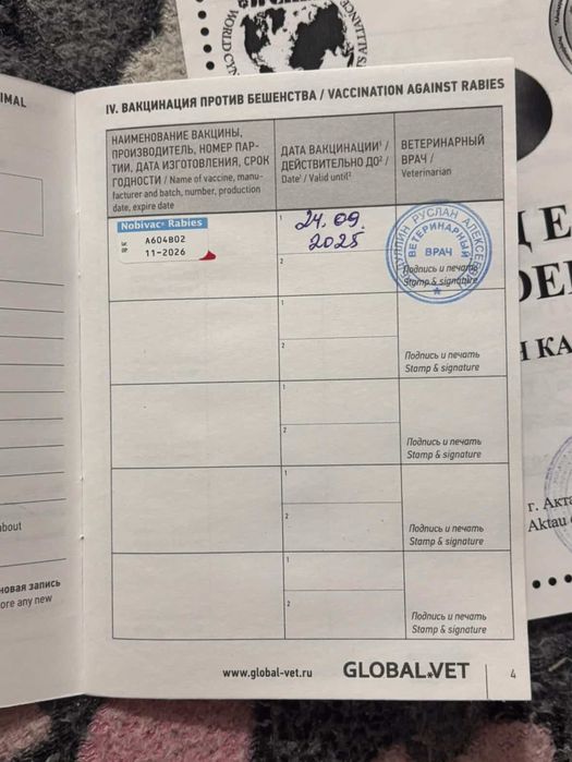 СРОЧНО в добрые руки