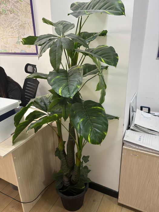 Продам искусственные цветы для офиса