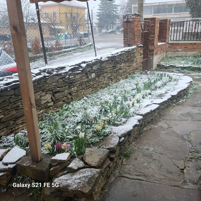 Продава се Къща в с. Лисец, Област Ловеч - 110 кв.м за 309 €/кв.м - Снимка #12