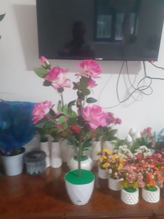 Гуллар 0,80 см баландлиги