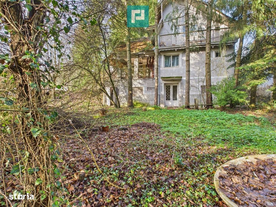 Casă P+E+M cu teren 8163 mp – Roşia Nouă (Petriş)