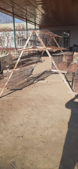 Tuxumli tovuq kataklari sotiladi