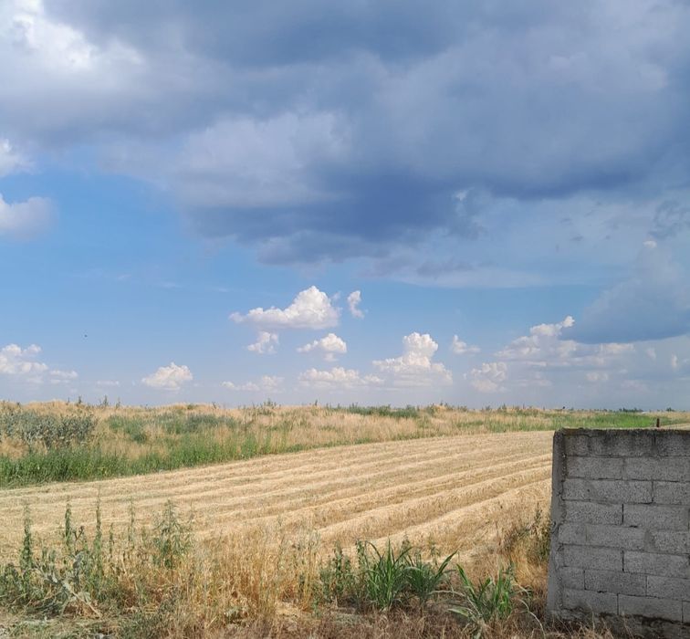 Teren extravilan  Poiana Mare Dolj
