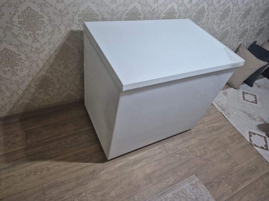 Маразмльгая камера Бирюса