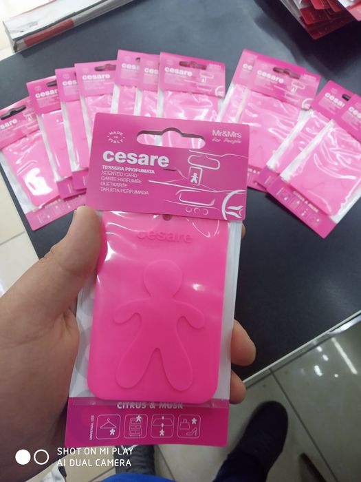 Italyanski асвежитель cesare от фирмы Mr&Mrs цена 55000