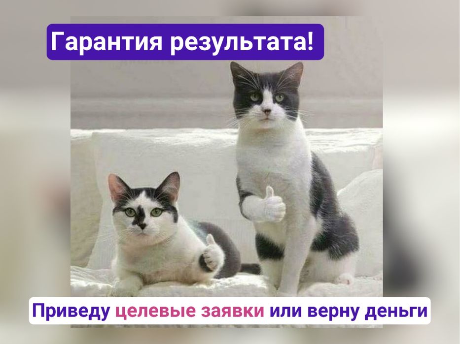 Таргетолог | Таргет в Инстаграм и Тикток