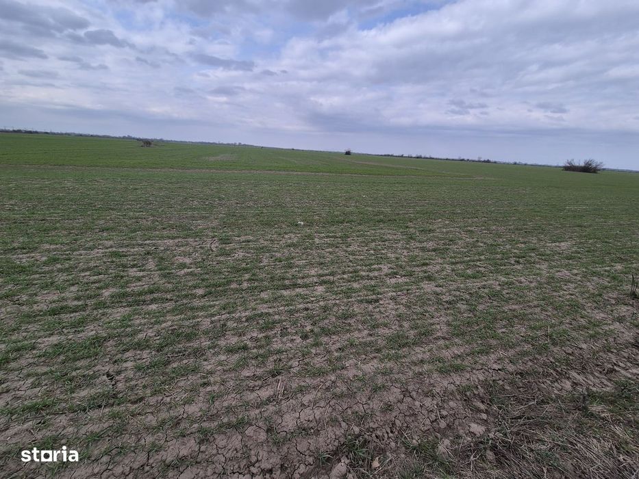 Vanzare teren intravilan 13.852mp, zona depozite Domnesti