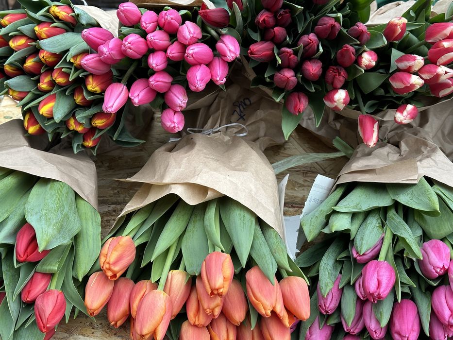 Тюльпаны оптом  8март Алматы /Цветы/тульпан