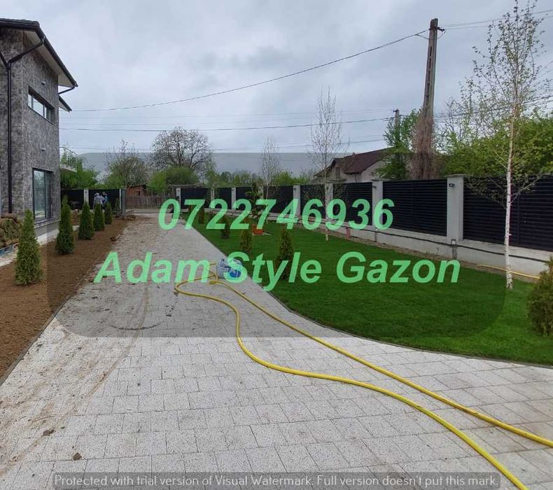 Gazon Natural pentru Vile și Pensiuni