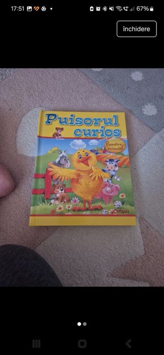 Puișorul curios cartonata