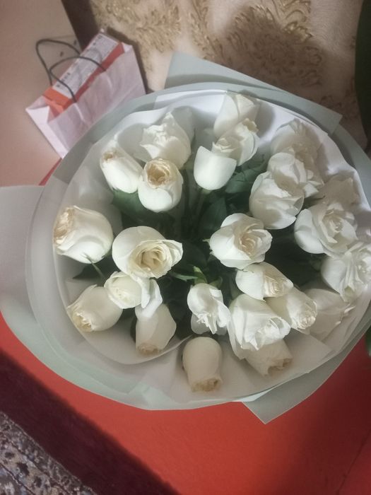 Цветы белый роза