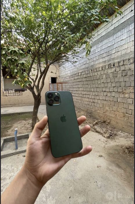 Iphone 13 pro max green
