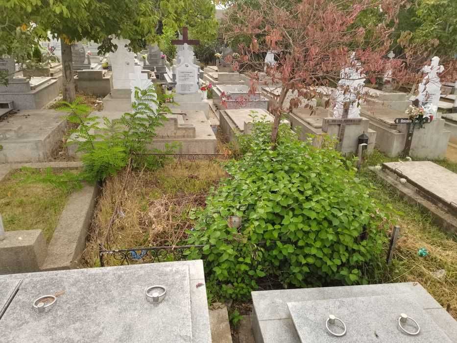 Loc de veci in cimitir