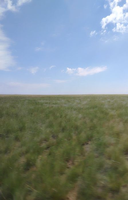 Дұрыстап оқимыз!