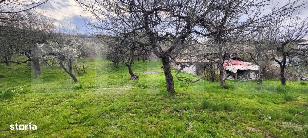 Teren Construibil 2900 mp cu 2 deschideri la asfalt – livada matura