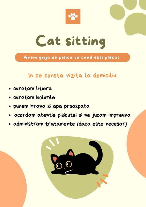 Cat sitter. - vizite la domiciliu