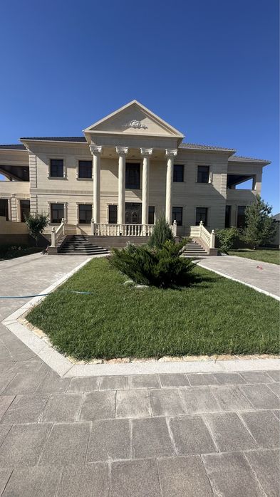 Автополив-газон, газон, посадка дерево, елки