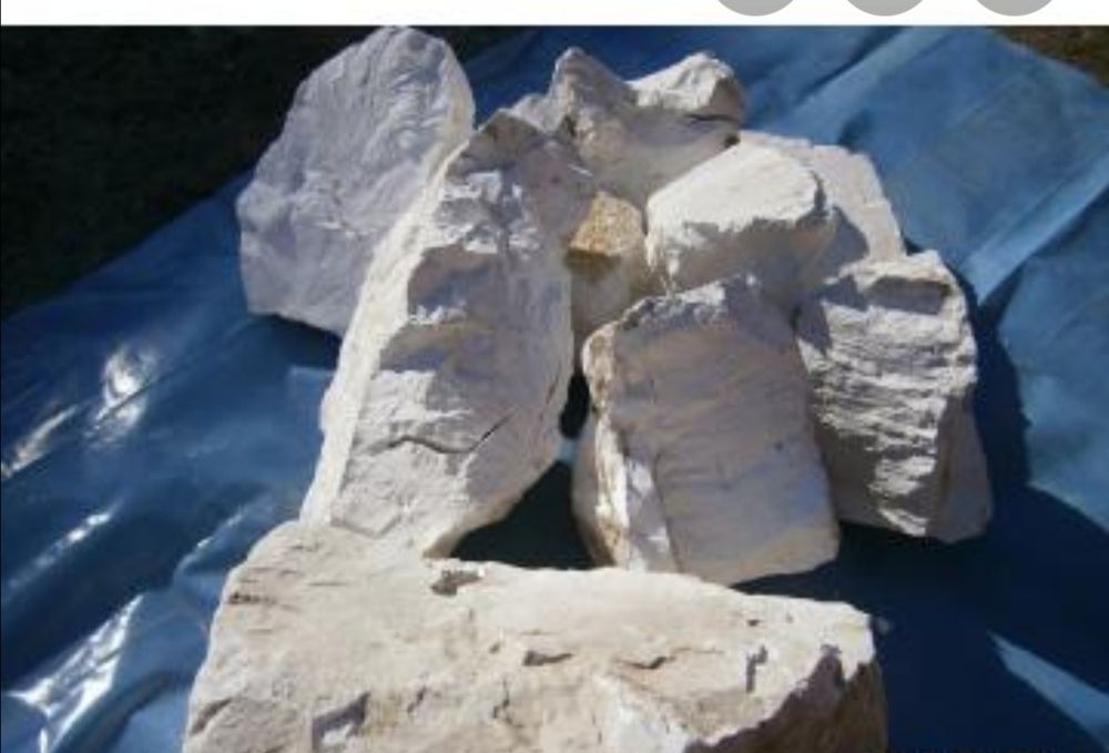 Vând var pasta și var bulgari