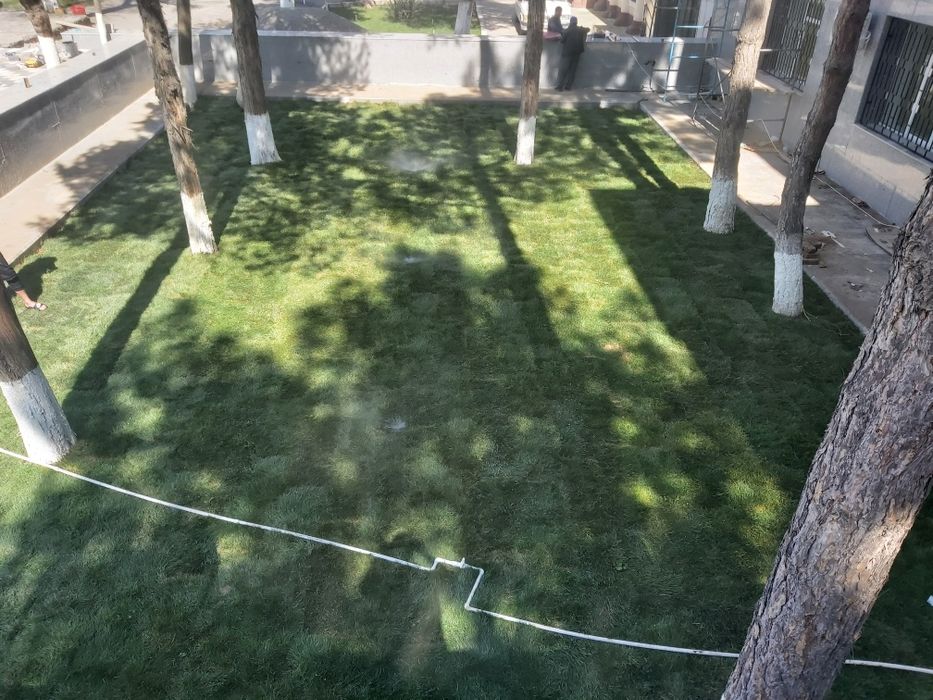 Газон уруглари ва тайёр рулонларини экиш билан шугулланамиз.