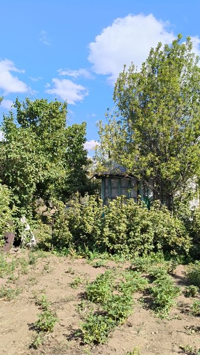 Дача "Цветущий сад"