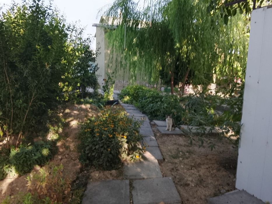 Дачний дала ховли 10сотих