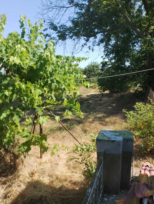 Продава се Къща в с. Равнец, Област Добрич - 1150 кв.м за 38 €/кв.м - Снимка #2