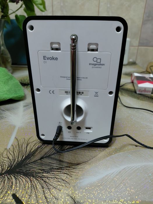 Vind radio Pure evoke d1