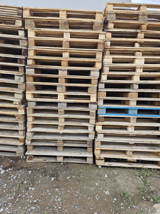 продам поддоны в хорошем состоянии 1500 т.