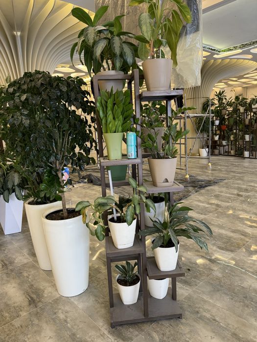 Gul tuvak stoykasi sotiladi