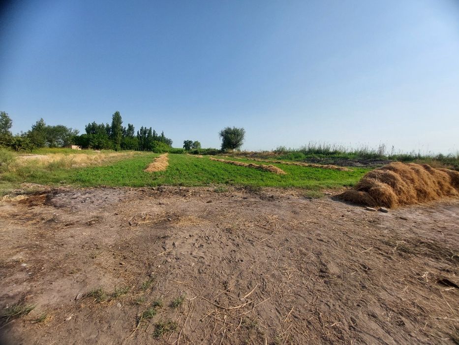 Продаётся участок. В Бекабадском районе Мавлянов